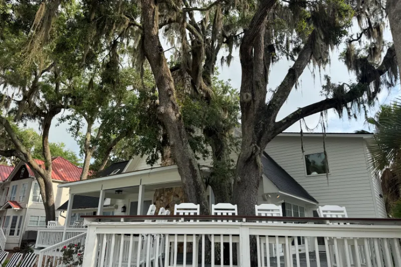 Tree Removal service